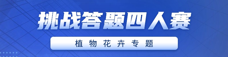 四人赛挑战答题site_name缩略图